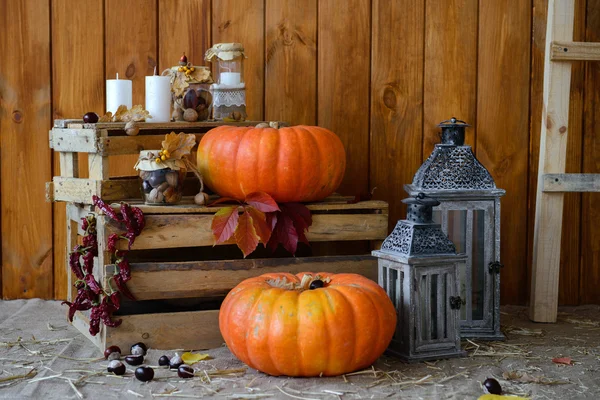 Elemente für Herbstkompositionen — Stockfoto