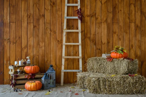 Elemente für Herbstkompositionen — Stockfoto