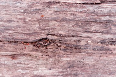 Ahşap doku çizikler ve çatlaklar ile