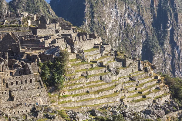 马丘比丘，秘鲁历史圣地 — 图库照片