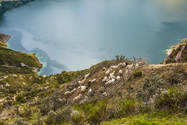 Lago da cratera Quilotoa, Equador — Fotografia de Stock