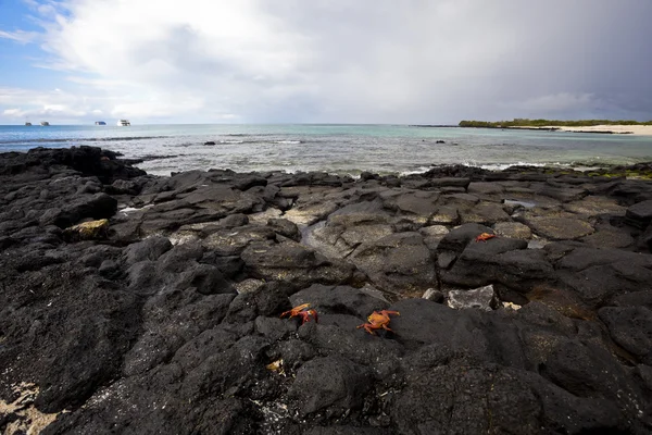 Playa de Las Bachas — Foto de Stock