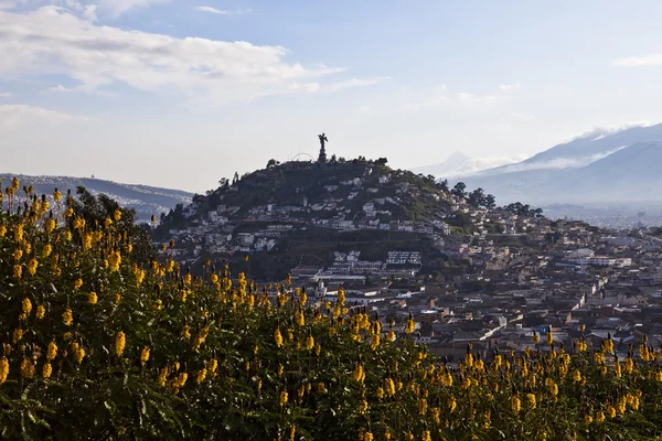 San Juan, Quito bakış açısı.