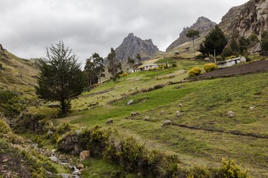 Zumbahua yakınındaki küçük nehir ve hillside çiftlikler