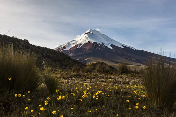 Volcán Cotopaxi — Foto de Stock