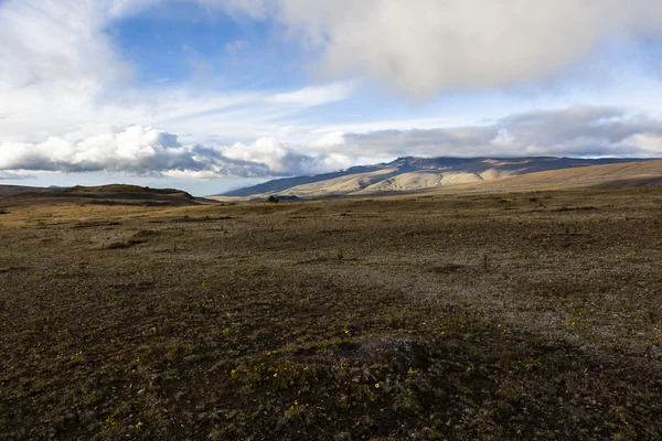 Cotopaxi şirketinde Paramo