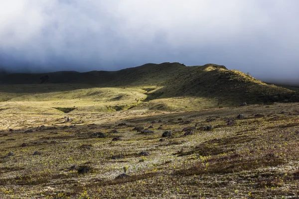 Paramo at Cotopaxi — Stock Photo, Image