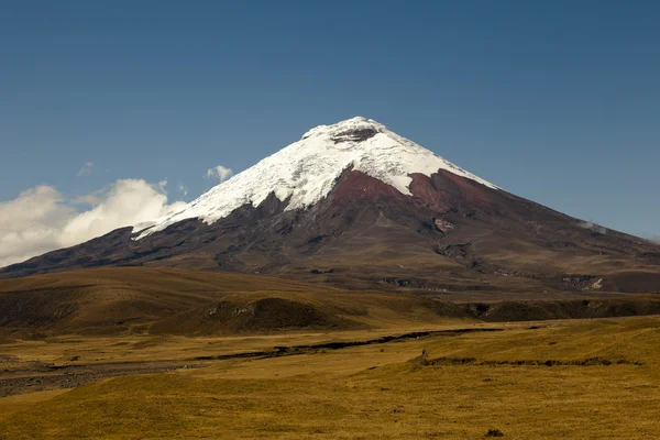 Cotopaxi volkan ve Habeş
