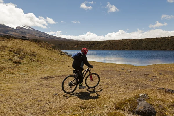 Ciclista, Parque Nacional Cotopaxi —  Fotos de Stock