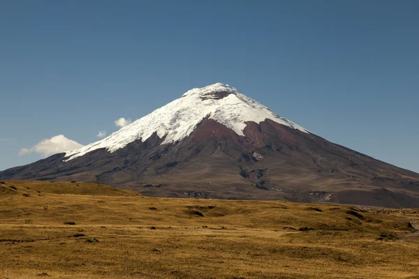 Cotopaxi volcano and moor Royalty Free Stock Images