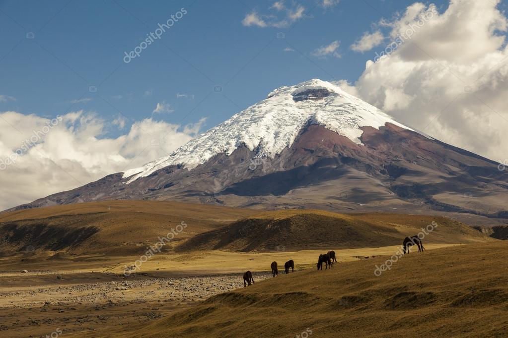 Ecuadorquerido