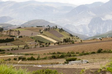 Andes ekili alanlar