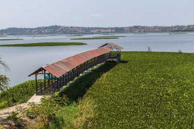 La Segua sulak arazisi, Manabi bölgesinde önemli bir Ramsar.