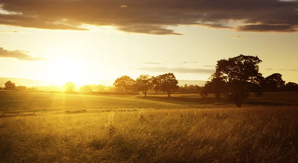 Atardecer paisaje — Foto de Stock