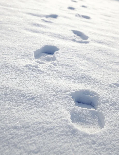 Snowy Footprints — Stock Photo, Image