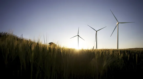 Elektrownie wiatrowe — Zdjęcie stockowe