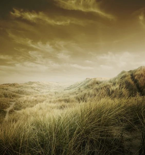 Gouden zonsondergang — Stockfoto