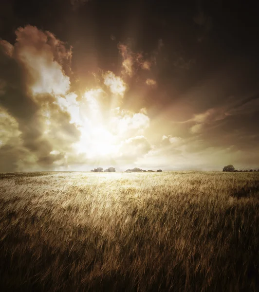 Peisaj Apus de soare — Fotografie, imagine de stoc
