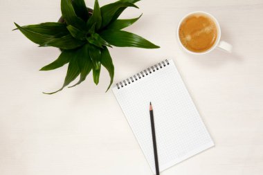 Not defteri, kalem, kahve fincanı ve saksı çiçekli bir işyeri beyaz arka plana yerleştirilir. Düz kaşık, üst manzara