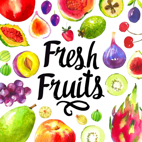 Набір ескізів зі свіжих фруктів . — стокове фото