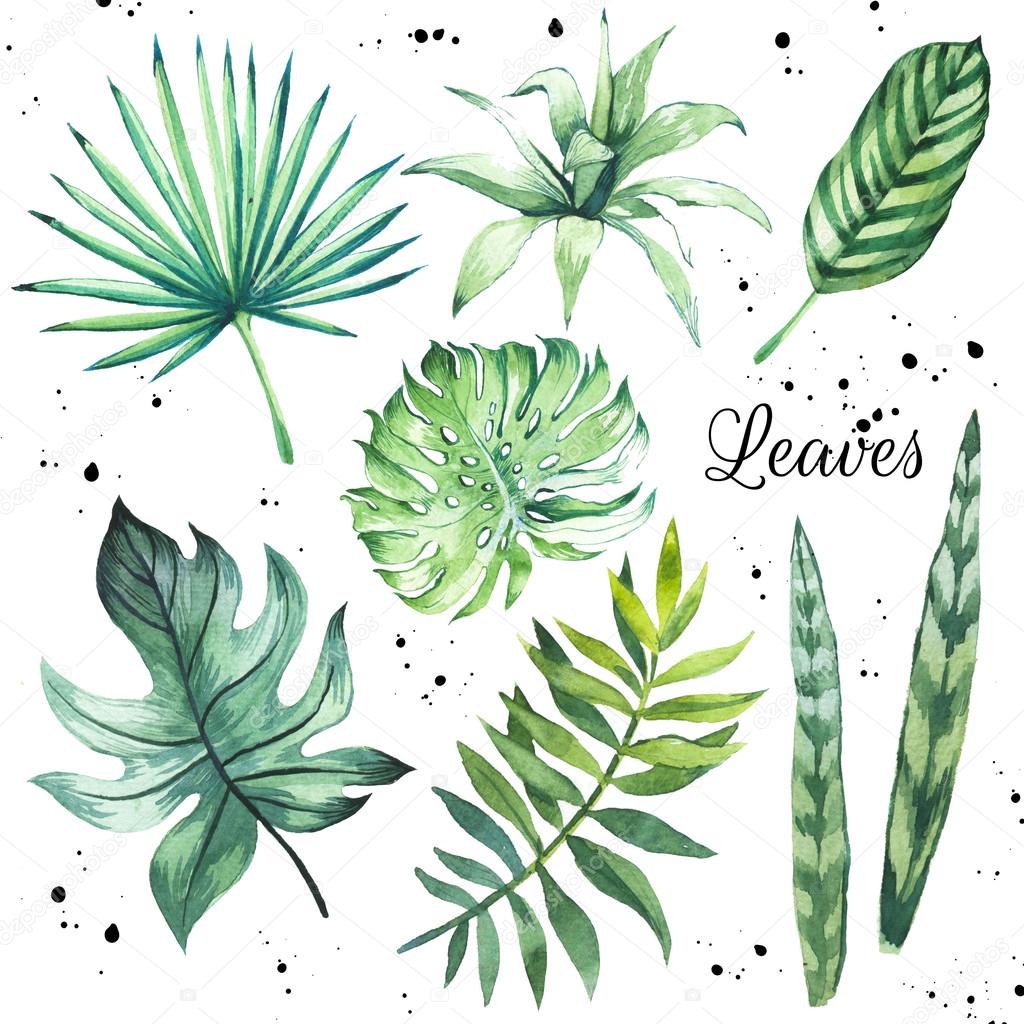 Watercolor set of green leaves.