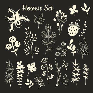 Çiçek Tasarımı. Doodles.