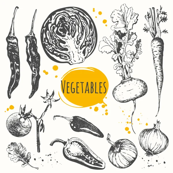 Schets van mediterrane groente. — Stockvector
