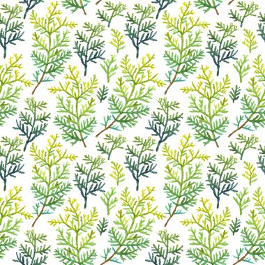 Seamless floral pattern. Background with a arborvitae branch. clipart