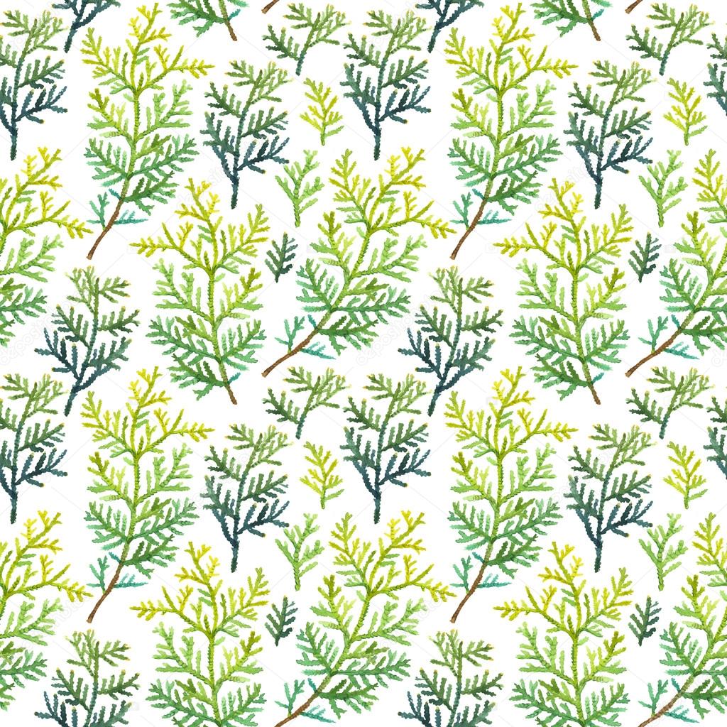 Seamless floral pattern. Background with a arborvitae branch.