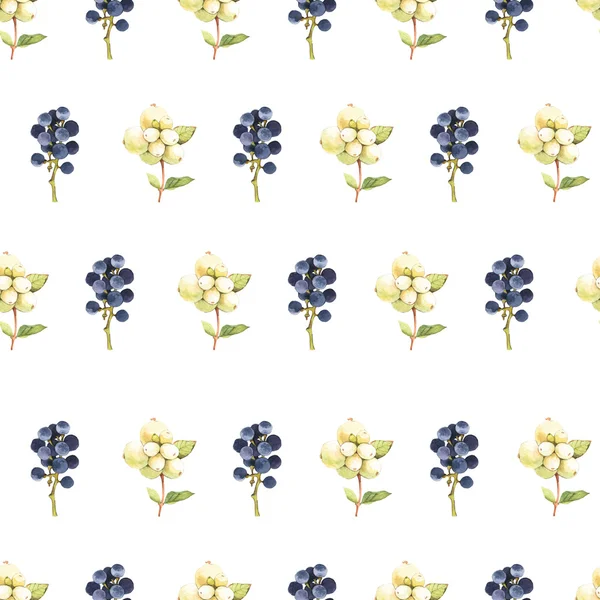 Seamless floral pattern. Background with berries. — Stock Photo, Image