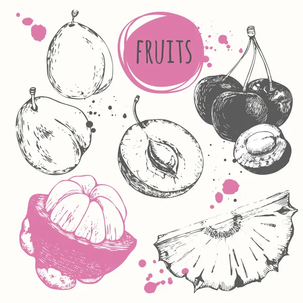 Mangosteen, szilva, ananász, cseresznye. Kézzel rajzolt szett, friss ételekkel. — Stock Vector
