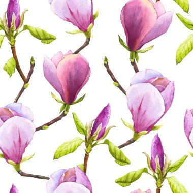 Bahar sorunsuz arka plan ile suluboya Manolya.