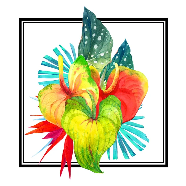 Акварельна ілюстрація з акварельними тропічними квітами . — стокове фото