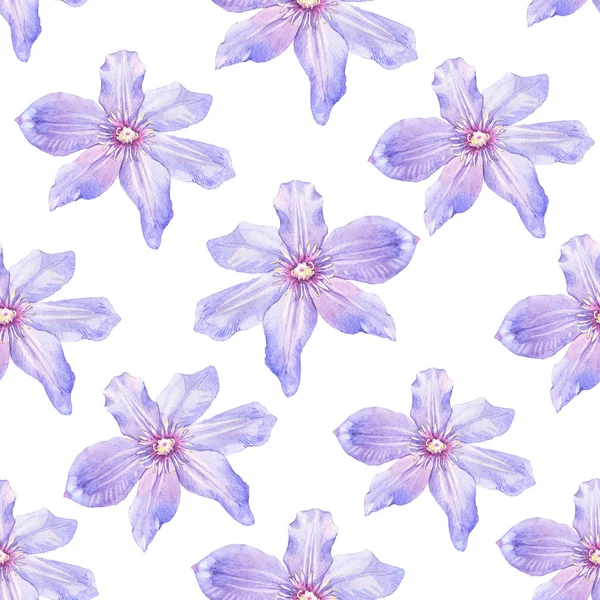 Spring seamless background with watercolor clematis. — Stock Photo, Image