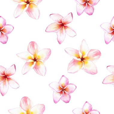 Dikişsiz çiçek arka plan ile İllüstrasyon. Plumeria deseni