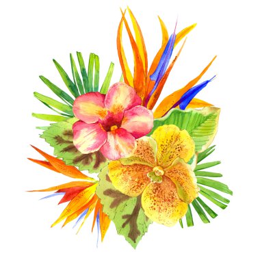 Gerçekçi suluboya çiçekleri ile İllüstrasyon. Tropik.