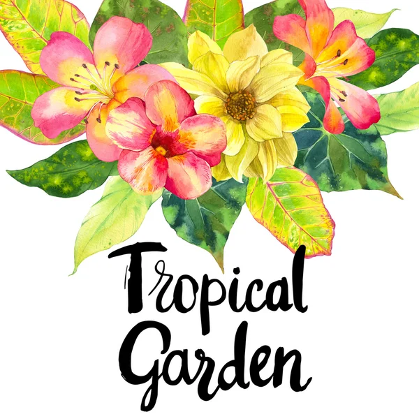 Illustratie met realistische aquarel bloemen. Tropical Garden. — Stockfoto