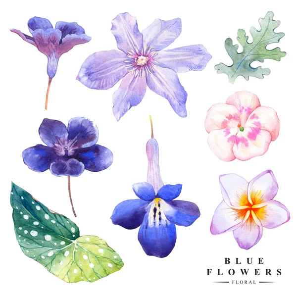 Botanische illustratie met realistische tropische bloemen en bladeren. — Stockfoto