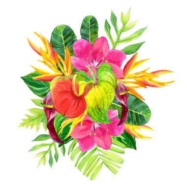 Resimde gerçekçi suluboya çiçekli. Botanik illüstrasyon.