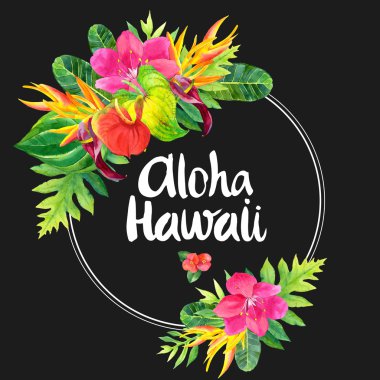 Resimde gerçekçi suluboya çiçekli. Aloha Hawaii.