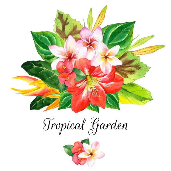 Illustrazione con realistici fiori ad acquerello. Giardino tropicale . — Foto Stock