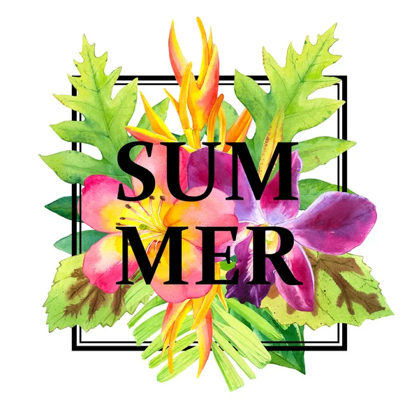 Ілюстрація з акварельними тропічними квітами. Літній рай . — стокове фото
