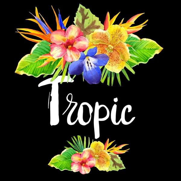 Ilustrace s realistickou akvarel květy. Tropic. — Stock fotografie