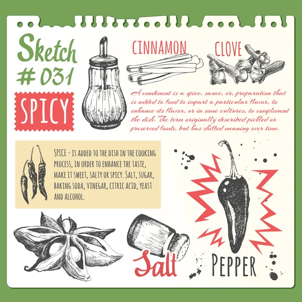 Cuaderno de bocetos de comida con bocetos de especias. Ficha del bloc de notas . — Archivo Imágenes Vectoriales