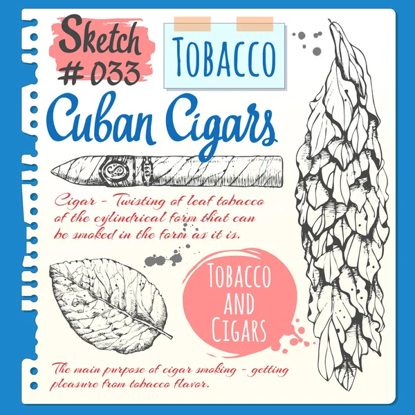 Skizzenbuch-Blatt mit kubanischen Zigarren und Tabakblättern. — Stockvektor