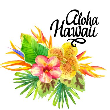 Resimde gerçekçi suluboya çiçekli. Aloha Hawaii.
