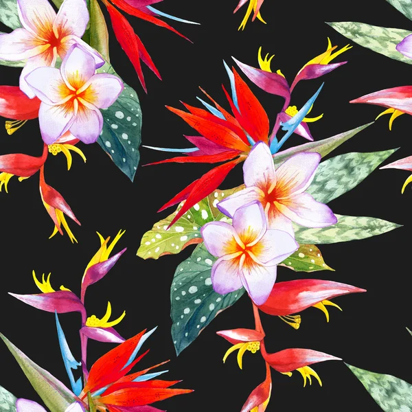 Акварельна ілюстрація з тропічними квітами . — стокове фото