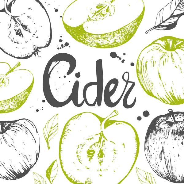 Skiss över äpplen. Cider. — Stock vektor