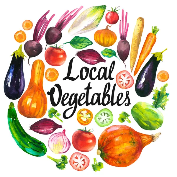 Ilustración de acuarela con composición redonda de productos agrícolas. Juego de verduras: berenjena, calabaza, calabacín, cebolla, tomate, brócoli, remolacha, zanahoria, col kohlrabi. Alimentos orgánicos frescos. — Foto de Stock