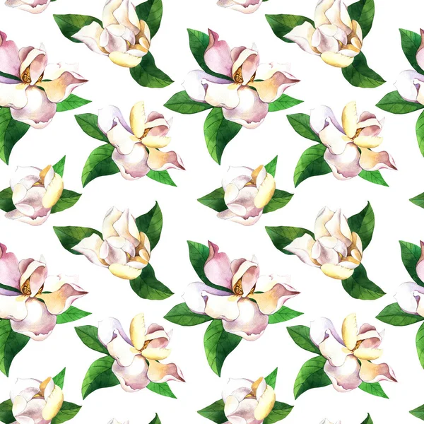 Bílé květy ručně kreslené bezešvé vzor. Gardenias na bílém pozadí. Magnólie, růže se zelenými listy akvarel textury. Botanický balicí papír, květinový tapety — Stock fotografie